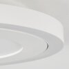 Audrieu Taklampa LED Vit, 2-ljuskällor