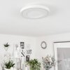 Audrieu Taklampa LED Vit, 2-ljuskällor