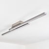 Tamizat Taklampa LED Nickel matt, 2-ljuskällor, Färgväxlare