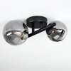 Chehalis Taklampa 12.5 cm LED Svart, 2-ljuskällor