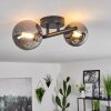 Chehalis Taklampa 12.5 cm LED Svart, 2-ljuskällor