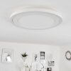 Audrieu Taklampa LED Vit, 2-ljuskällor