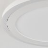 Audrieu Taklampa LED Vit, 2-ljuskällor