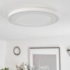 Audrieu Taklampa LED Vit, 2-ljuskällor