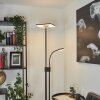 Janze strålkastare, Golvlampa LED Svart, 2-ljuskällor