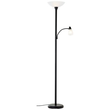 Brilliant Lucy strålkastare, Golvlampa LED Svart, 2-ljuskällor