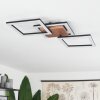 Walschbronn Taklampa LED Naturfärger, 1-ljuskällor
