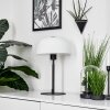 Werentzhouse Bordslampa Svart, 1-ljuskällor
