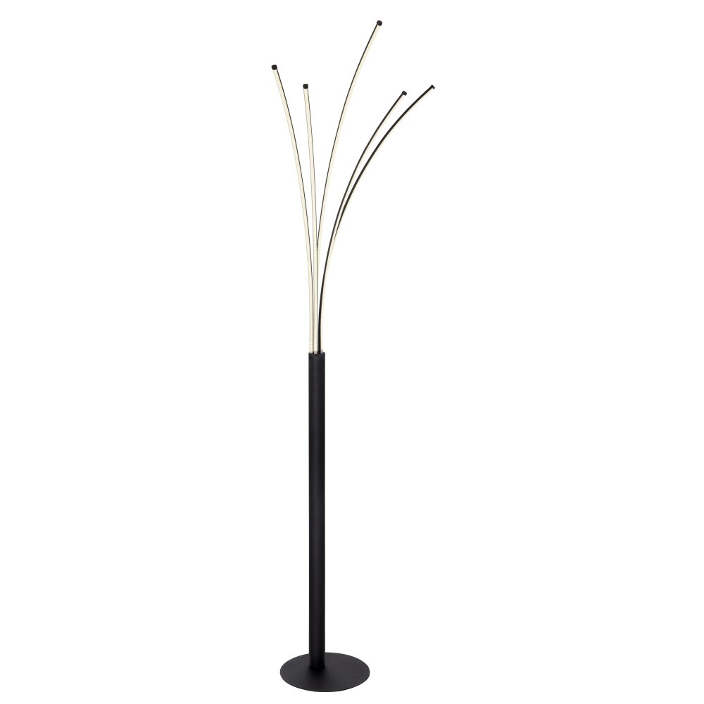 Globo BIZZY Golvlampa LED Svart, 1-ljuskällor, Fjärrkontroll main product photo