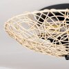 Battenans Taklampa Naturfärger, 2-ljuskällor