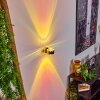 Sapri Up & Down Lampa, Vägglampa Guld, 1-ljuskällor