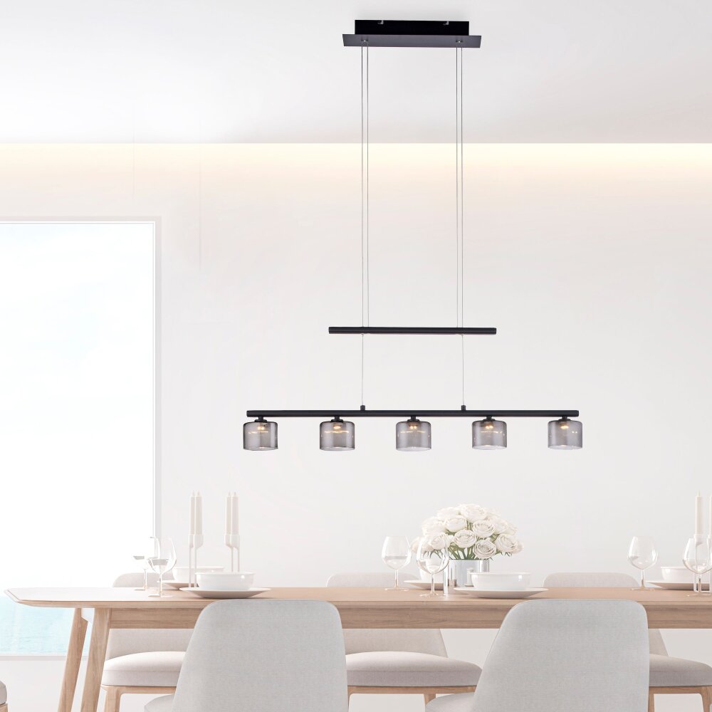 Paul Neuhaus HYDRA Pendelbelysning LED Svart, 5-ljuskällor main product photo