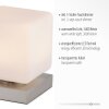 Paul Neuhaus DADOA Bordslampa, Läslampa LED Stål borstat, 1-ljuskällor