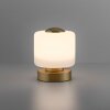 Paul Neuhaus BOTA Bordslampa, Läslampa LED Mässing, 1-ljuskällor