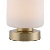 Paul Neuhaus BOTA Bordslampa, Läslampa LED Mässing, 1-ljuskällor
