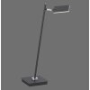 Paul Neuhaus Lampor PURE-MIRA Bordslampa, Läslampa LED Svart, 1-ljuskällor, Fjärrkontroll