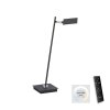 Paul Neuhaus Lampor PURE-MIRA Bordslampa, Läslampa LED Svart, 1-ljuskällor, Fjärrkontroll