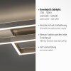 Paul Neuhaus PAAN Taklampa LED Stål borstat, 1-ljuskällor, Fjärrkontroll