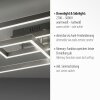 Paul Neuhaus PAAN Taklampa LED Stål borstat, 1-ljuskällor, Fjärrkontroll