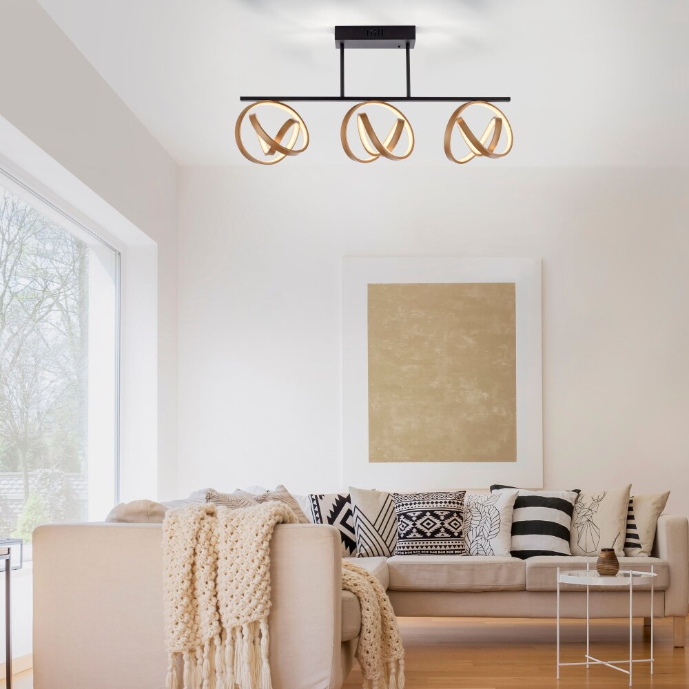 Paul Neuhaus Lampor LOOP Taklampa LED Mässing, Svart, 3-ljuskällor, Fjärrkontroll main product photo