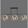 Paul Neuhaus Lampor LOOP Taklampa LED Mässing, Svart, 3-ljuskällor, Fjärrkontroll