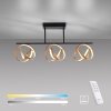 Paul Neuhaus Lampor LOOP Taklampa LED Mässing, Svart, 3-ljuskällor, Fjärrkontroll