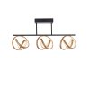 Paul Neuhaus Lampor LOOP Taklampa LED Mässing, Svart, 3-ljuskällor, Fjärrkontroll