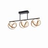 Paul Neuhaus Lampor LOOP Taklampa LED Mässing, Svart, 3-ljuskällor, Fjärrkontroll