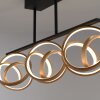 Paul Neuhaus Lampor LOOP Taklampa LED Mässing, Svart, 3-ljuskällor, Fjärrkontroll