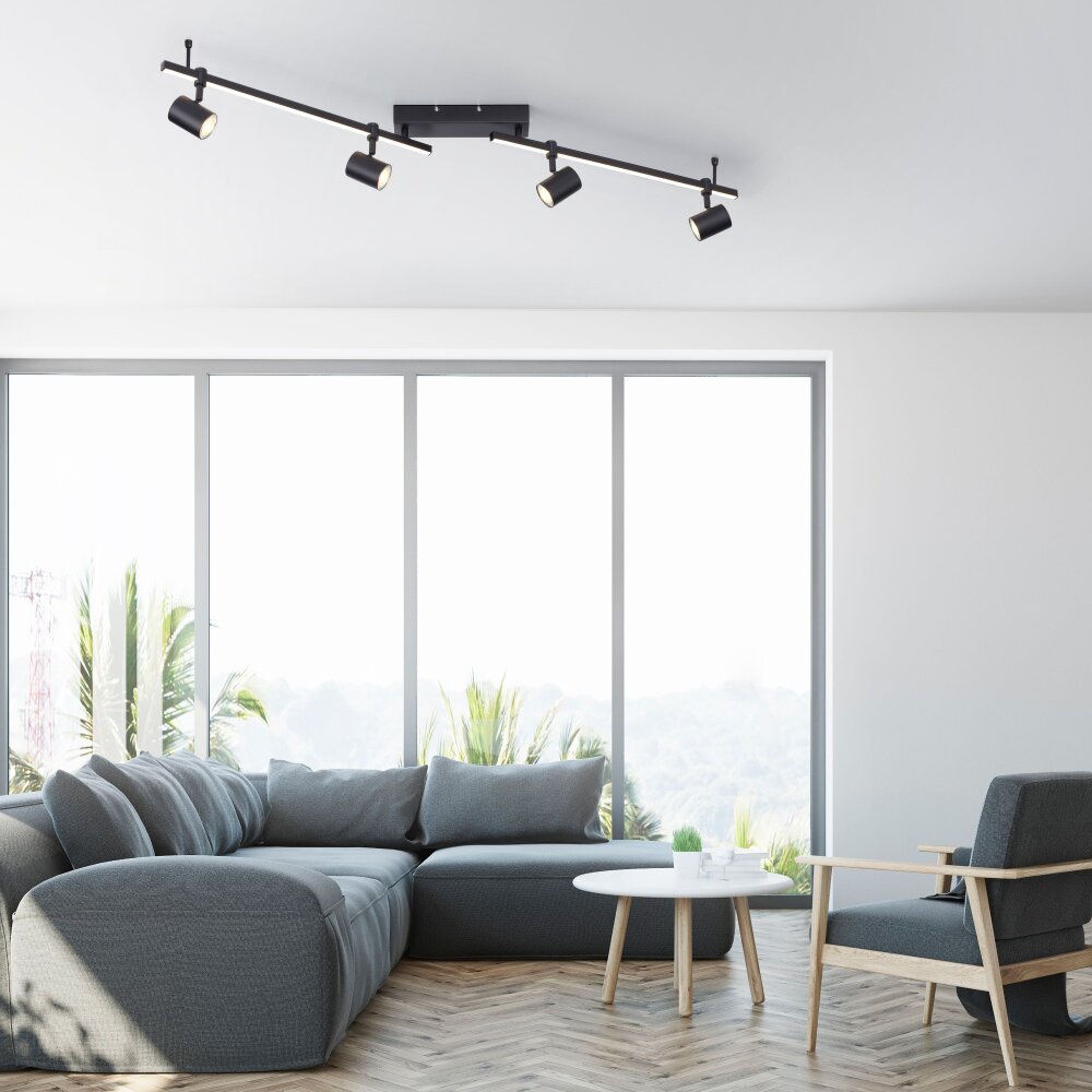 Paul Neuhaus BARIK Taklampa, Takstrålkastare LED Svart, 4-ljuskällor main product photo