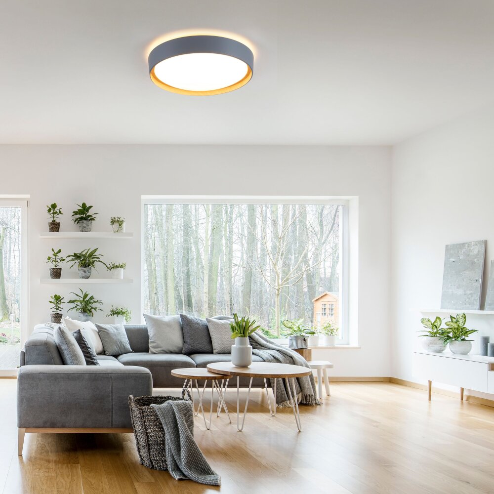 Leuchten Direkt EMILIA Taklampa LED Grått, Naturfärger, 1-ljuskällor main product photo