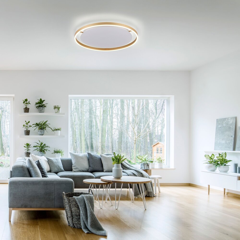 Leuchten Direkt RITUS Taklampa LED Mässing, 1-ljuskällor main product photo