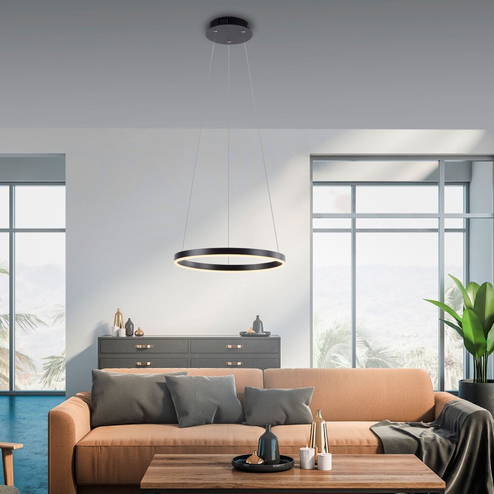 Leuchten Direkt RITUS Pendellampa LED Antracit, 1-ljuskällor main product photo