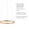 Leuchten Direkt RITUS Pendellampa LED Mässing, 1-ljuskällor