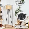 Chenevrey Golvlampa, Läslampa Svart, 1-ljuskällor