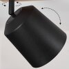 Caetanos Taklampa, Takstrålkastare Naturfärger, 1-ljuskällor