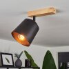 Caetanos Taklampa, Takstrålkastare Naturfärger, 1-ljuskällor