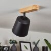 Caetanos Taklampa, Takstrålkastare Naturfärger, 1-ljuskällor