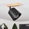 Caetanos Taklampa, Takstrålkastare Naturfärger, 1-ljuskällor