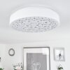 Agodim Taklampa LED Vit, 1-ljuskällor