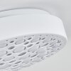 Agodim Taklampa LED Vit, 1-ljuskällor