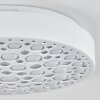 Agodim Taklampa LED Vit, 1-ljuskällor