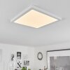 Canditas Taklampa, Panel LED Vit, 1-ljuskällor