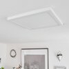 Canditas Taklampa, Panel LED Vit, 1-ljuskällor