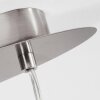 Elsa Pendelbelysning Nickel matt, 2-ljuskällor