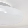 Ral Taklampa LED Silver, Vit, 1-ljuskällor, Fjärrkontroll, Färgväxlare