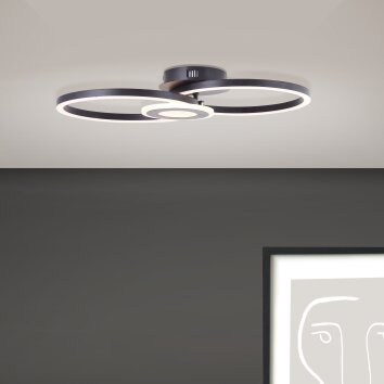 Brilliant Lampor Bray Taklampa LED Svart, Vit, 1-ljuskällor
