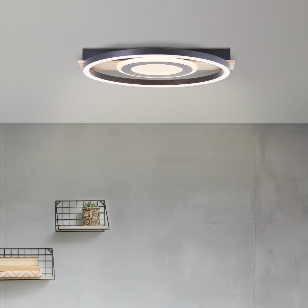 Brilliant Lampor Maureen Taklampa LED Naturfärger, Svart, Vit, 1-ljuskällor main product photo