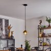Koyoto Pendellampa 15 cm Guld, Klart, 1-ljuskällor
