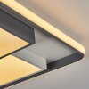 Casqueira Taklampa LED Grått, Vit, 1-ljuskällor